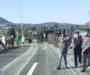 Saquean 20 toneladas de pavos tras volcadura en carretera de Orizaba