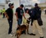 Unidad k9 de la Policía Municipal llevó a cabo exitoso operativo durante Expo Feria Coatza 2026