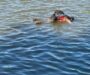 Reportan cuerpo flotando en el río Papaloapan; corriente lo arrastra hacia Tlacotalpan