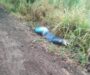 Hallan a una persona sin vida en camino rural entre Lerdo de Tejada y Ángel R. Cabada