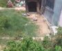 Señalan presuntas irregularidades en presuntos albergues de animales de Ciudad Olmeca